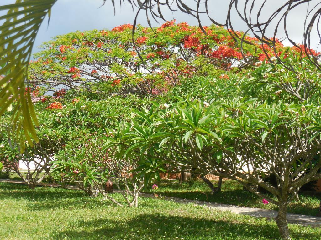 Swahili Beach Resort Zanzibar Exterior foto